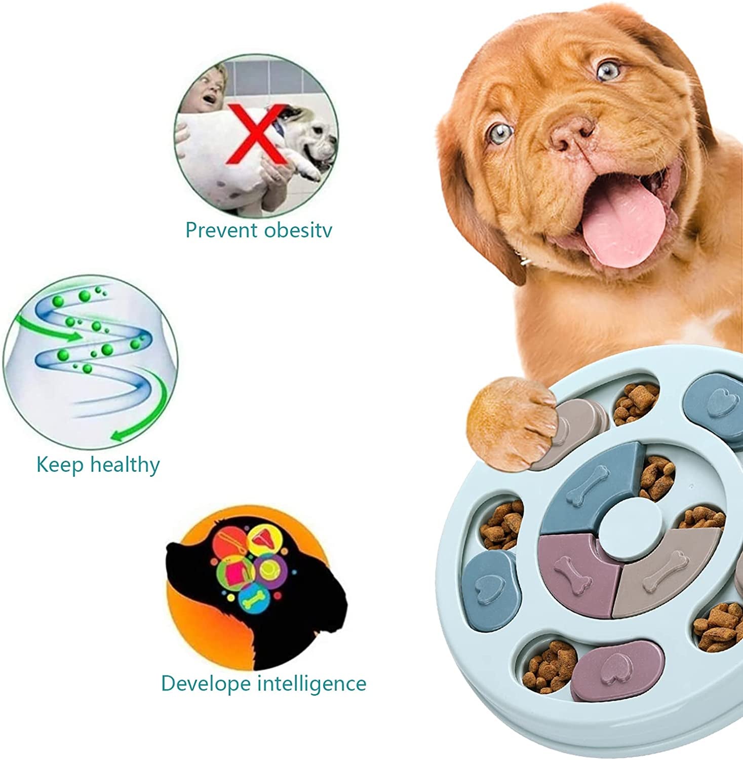 interactive dog puzzle toy