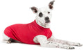 Comfortable Dog Fleece Jacket for Winter on a relaxed dog, showcasing warmth and style for cold weather.