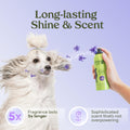 PAWFUME Royal Lavender Probiotic Dog Grooming Spray for long-lasting shine and scent with dog and bottle.