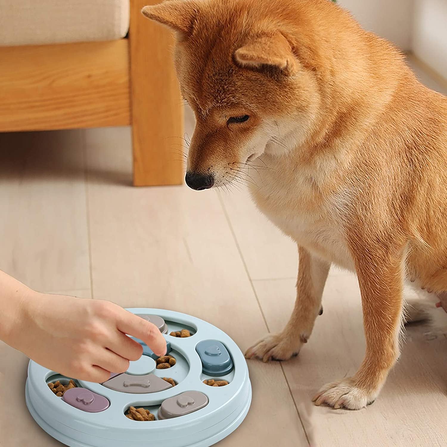 interactive dog puzzle toy