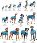 Comfortable Dog Fleece Jacket for Winter displayed on various dog breeds in blue jackets, showcasing sizes from small to large.