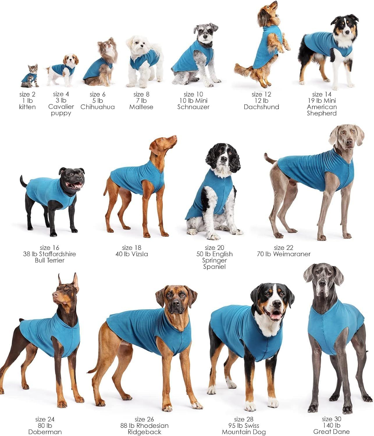 Comfortable Dog Fleece Jacket for Winter displayed on various dog breeds in blue jackets, showcasing sizes from small to large.