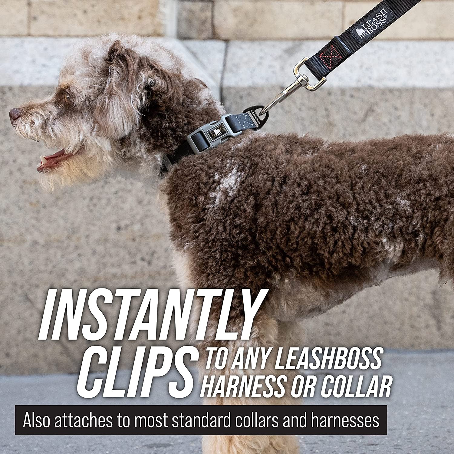 long dog leash for large dogs.
