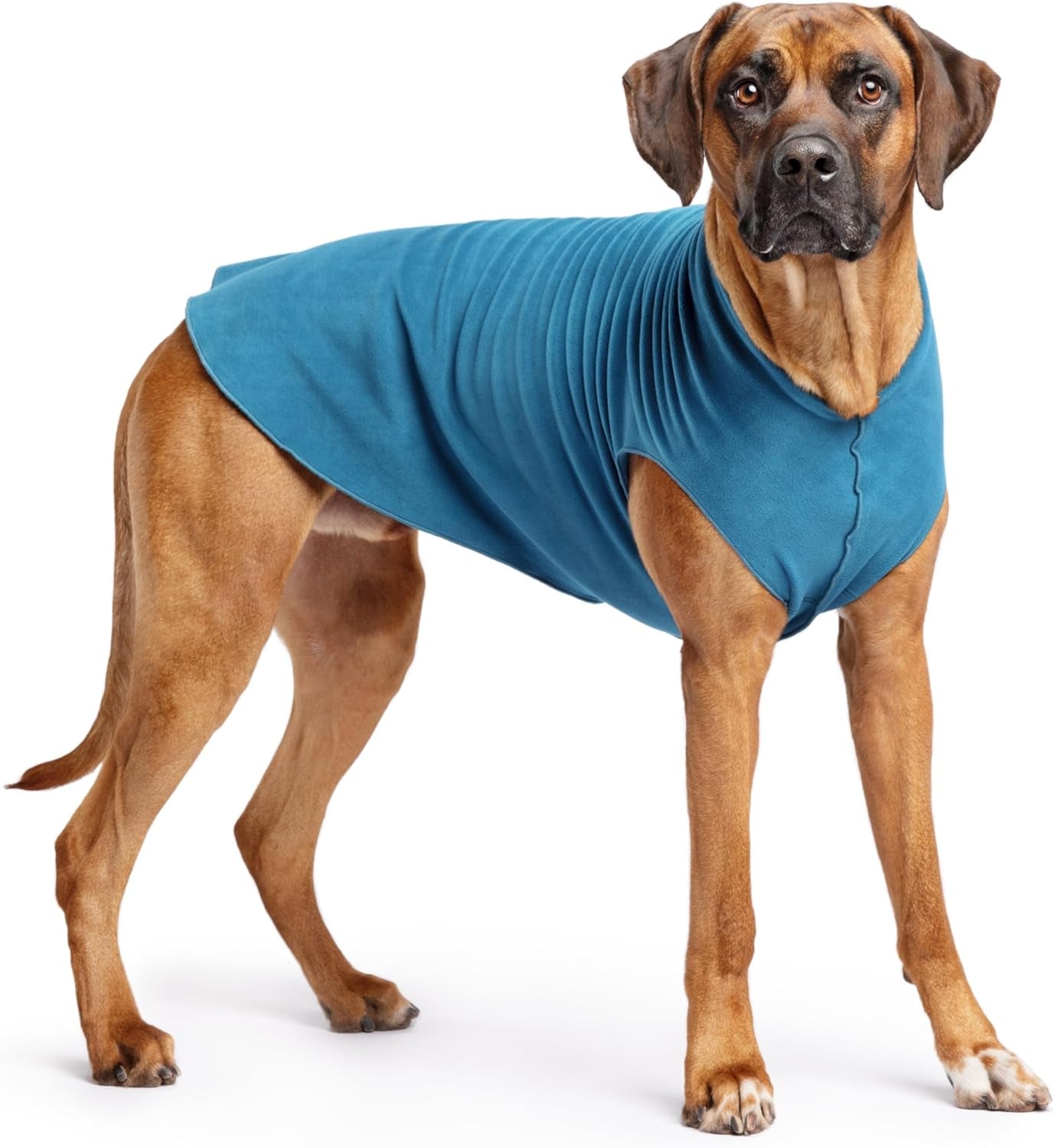 Comfortable Dog Fleece Jacket for Winter displayed on a dog, showcasing its warm and soft fabric.