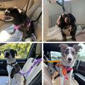 Pet Safety Seat Belt Strap for Dogs & Cats