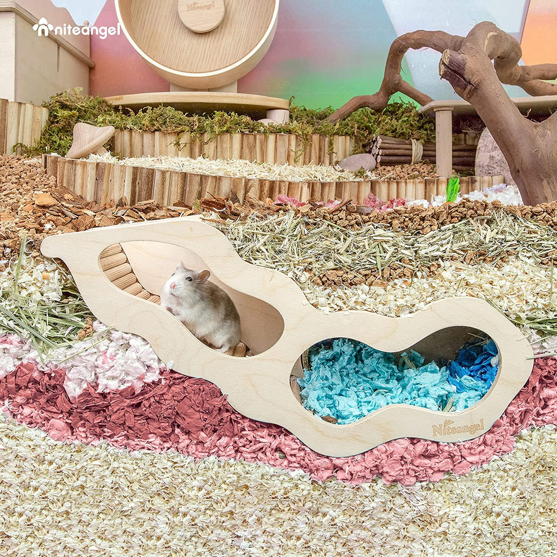 Hamster House with Ladder & Tunnel