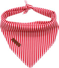 Lionet Paws Dog Bandana for Small Medium Large Dogs, Cat Kerchief Blue DOIT, Triangle Bibs Scarf for Girl or Boy