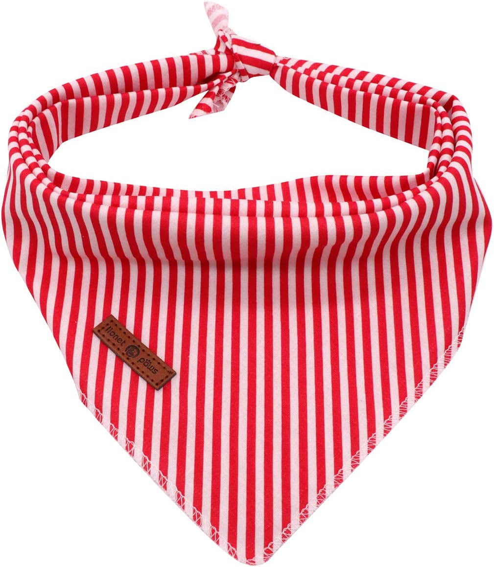 Lionet Paws Dog Bandana for Small Medium Large Dogs, Cat Kerchief Blue DOIT, Triangle Bibs Scarf for Girl or Boy