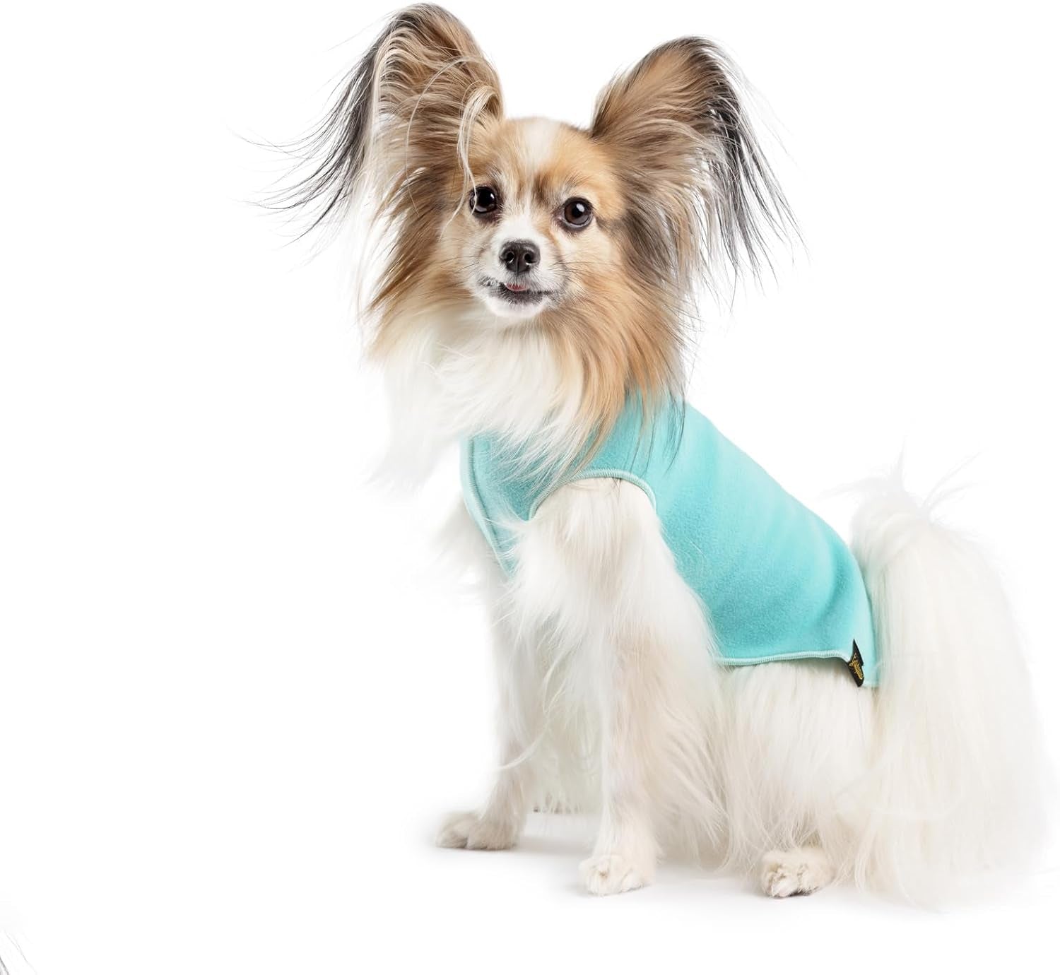 Comfortable Dog Fleece Jacket for Winter worn by a fluffy dog with long ears, featuring a teal color.