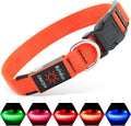 Orange LED dog collar with adjustable buckle and multiple light modes for night visibility and safety