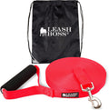 long dog leash for large dogs.
