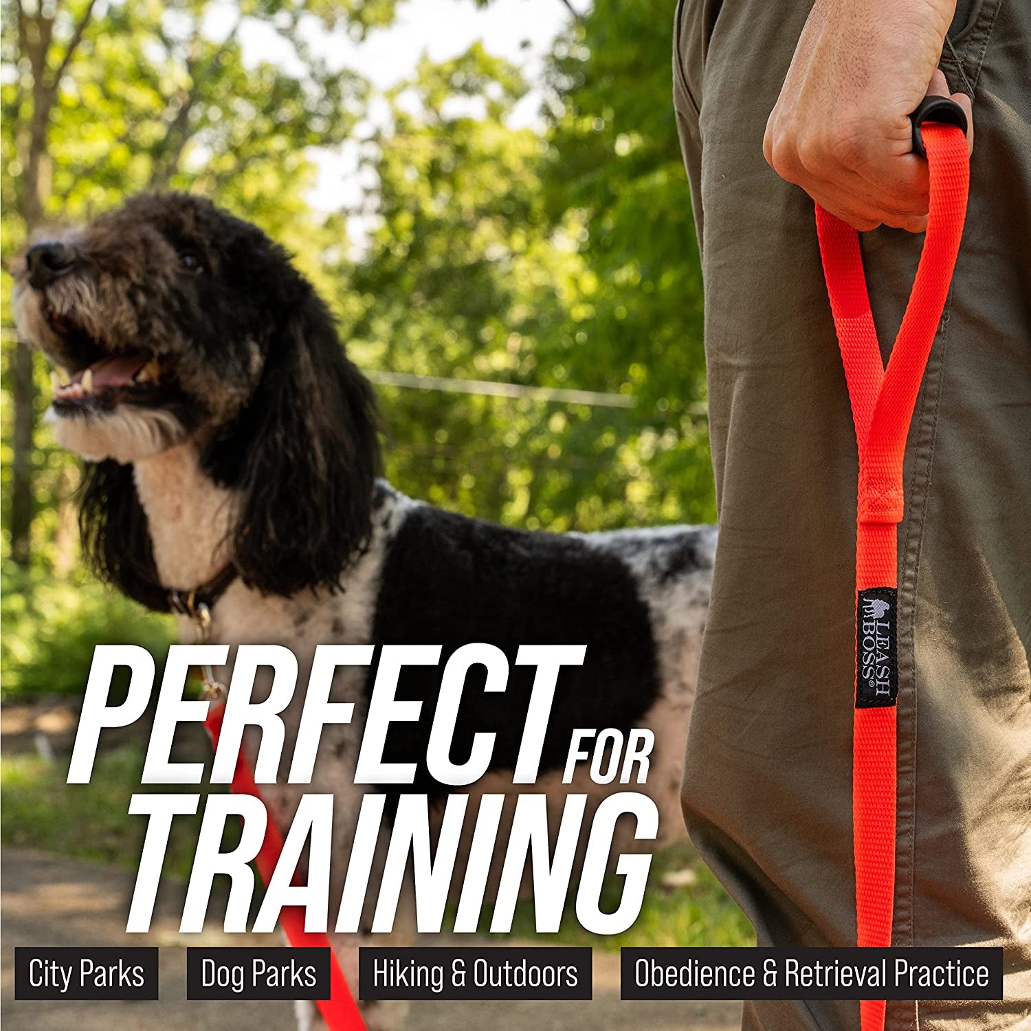 long dog leash for large dogs.