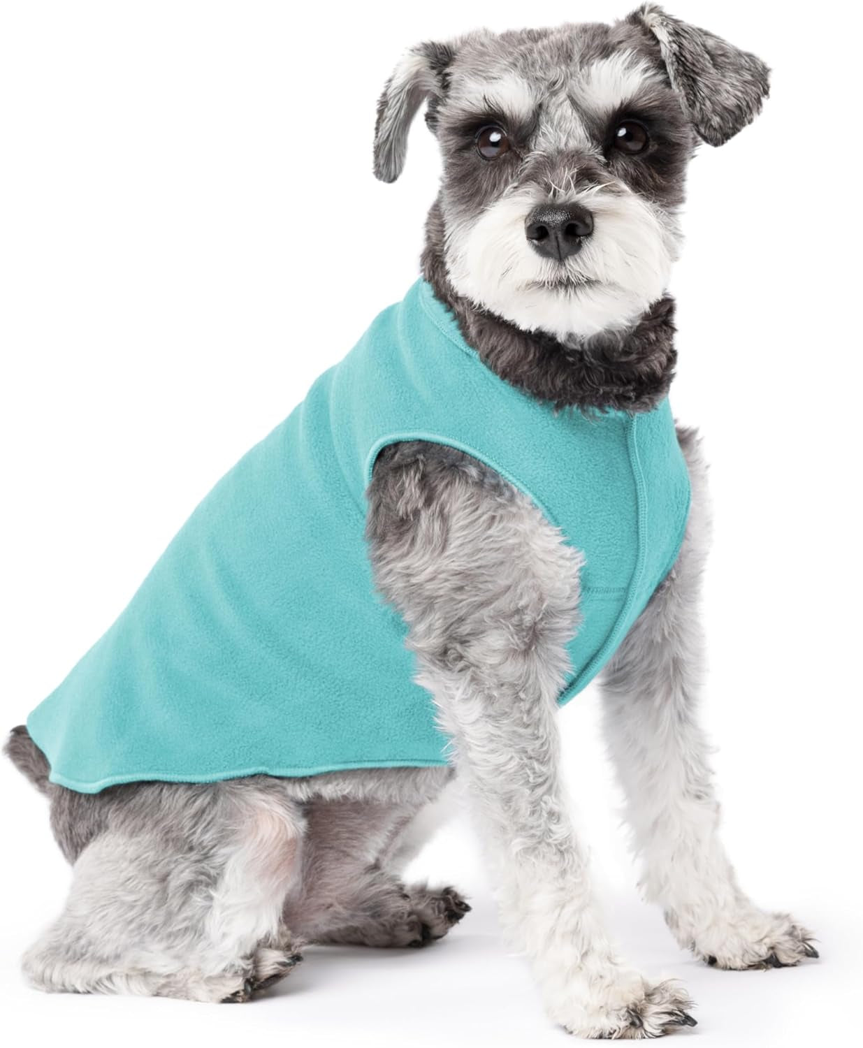 Comfortable Dog Fleece Jacket for Winter worn by a dog in turquoise fleece fabric, perfect for cold weather.