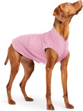 Comfortable Dog Fleece Jacket for Winter. Pink fleece jacket on a dog, ideal for cold weather walks.