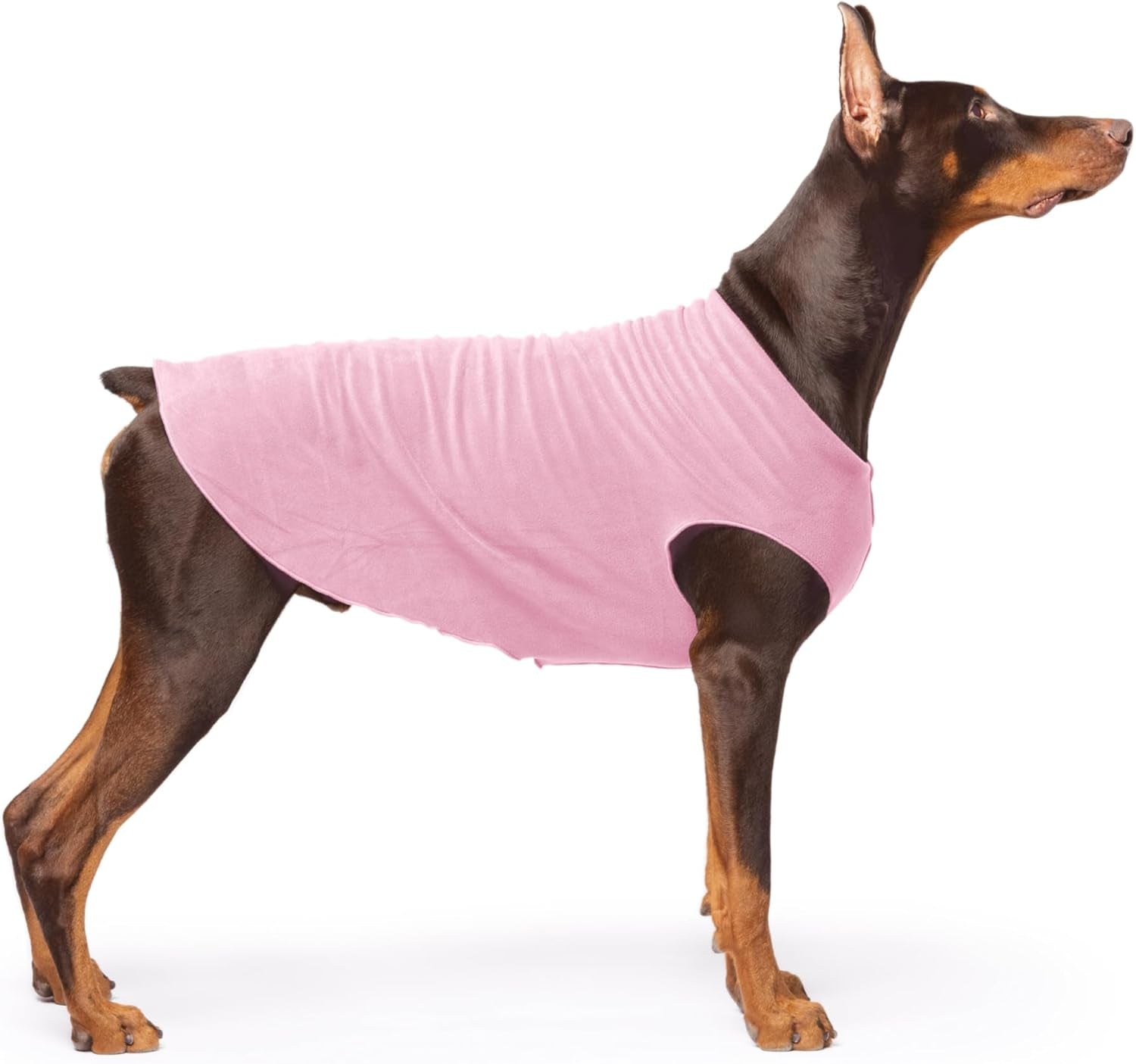 Comfortable Dog Fleece Jacket for Winter on a Doberman, designed for warmth and protection in cold weather.