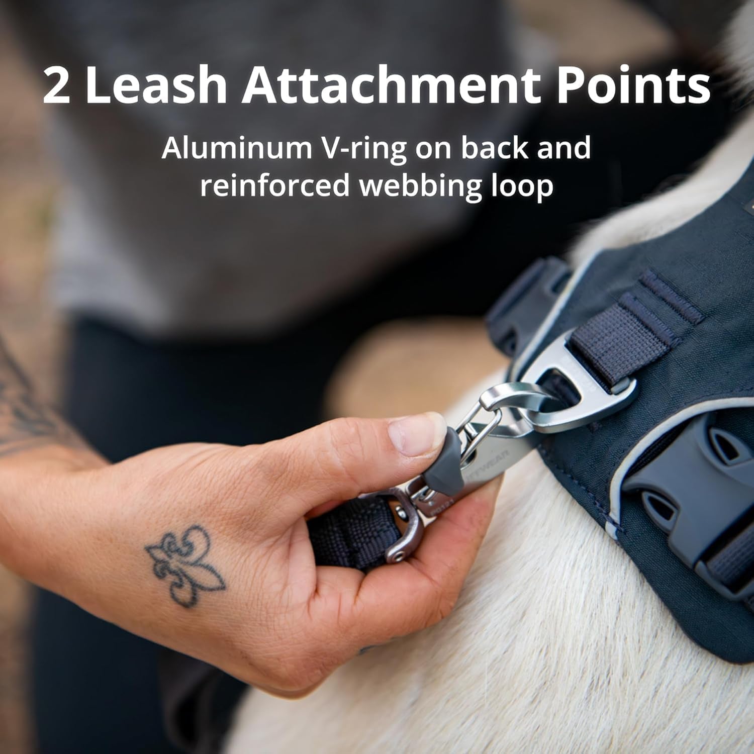 2 Leash Attachment Points on No Pull Dog Harness for Everyday Comfort with aluminum V-ring and reinforced loop.