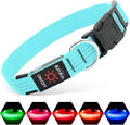 Blue LED dog collar with adjustable buckle and multiple light modes for night safety and visibility