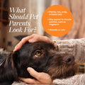 What should pet parents look for? Patchy, red, scaly skin and wounds in dogs. Antiseptic antifungal shampoo for dogs and cats.