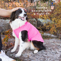 Comfortable Dog Fleece Jacket for Winter on a dog, providing warmth and comfort, perfect for cold weather.