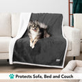 Small dog sitting on gray reversible sherpa dog blanket covering couch to protect sofa and furniture from pet hair and dirt