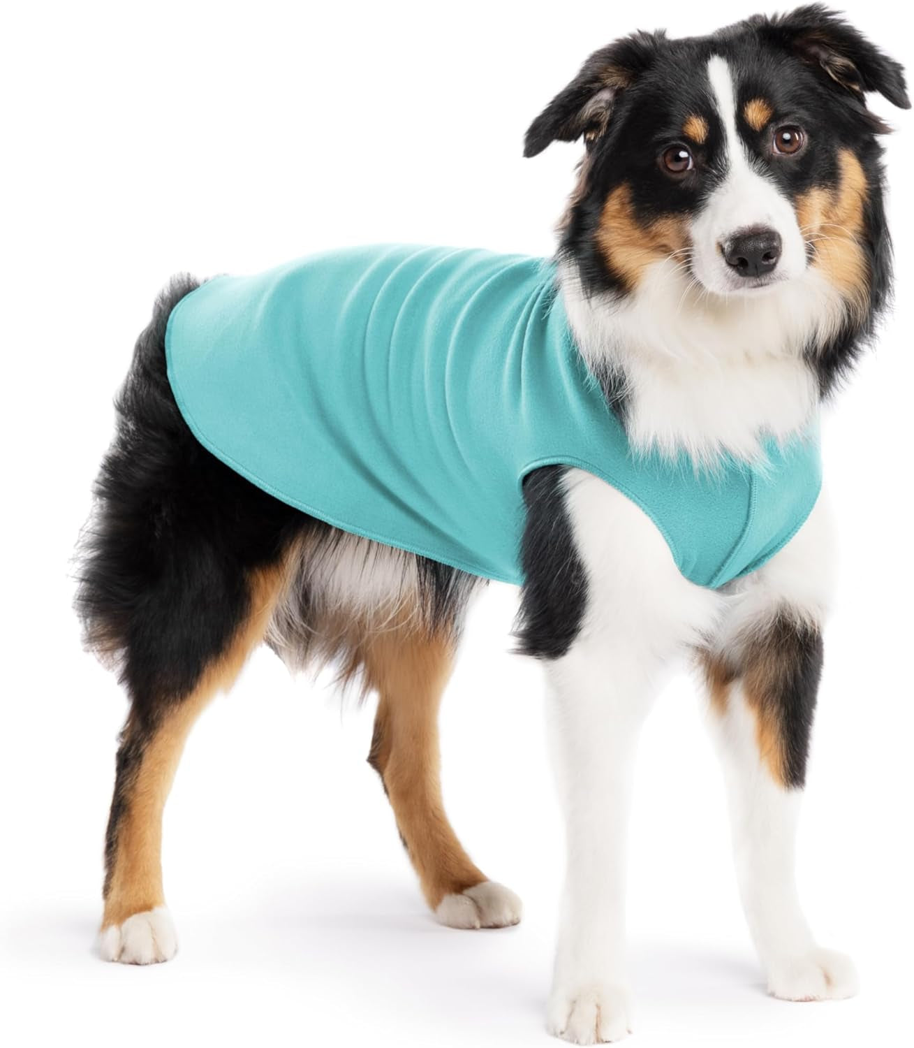 Comfortable Dog Fleece Jacket for Winter on a dog in a blue fleece coat, perfect for cold weather.
