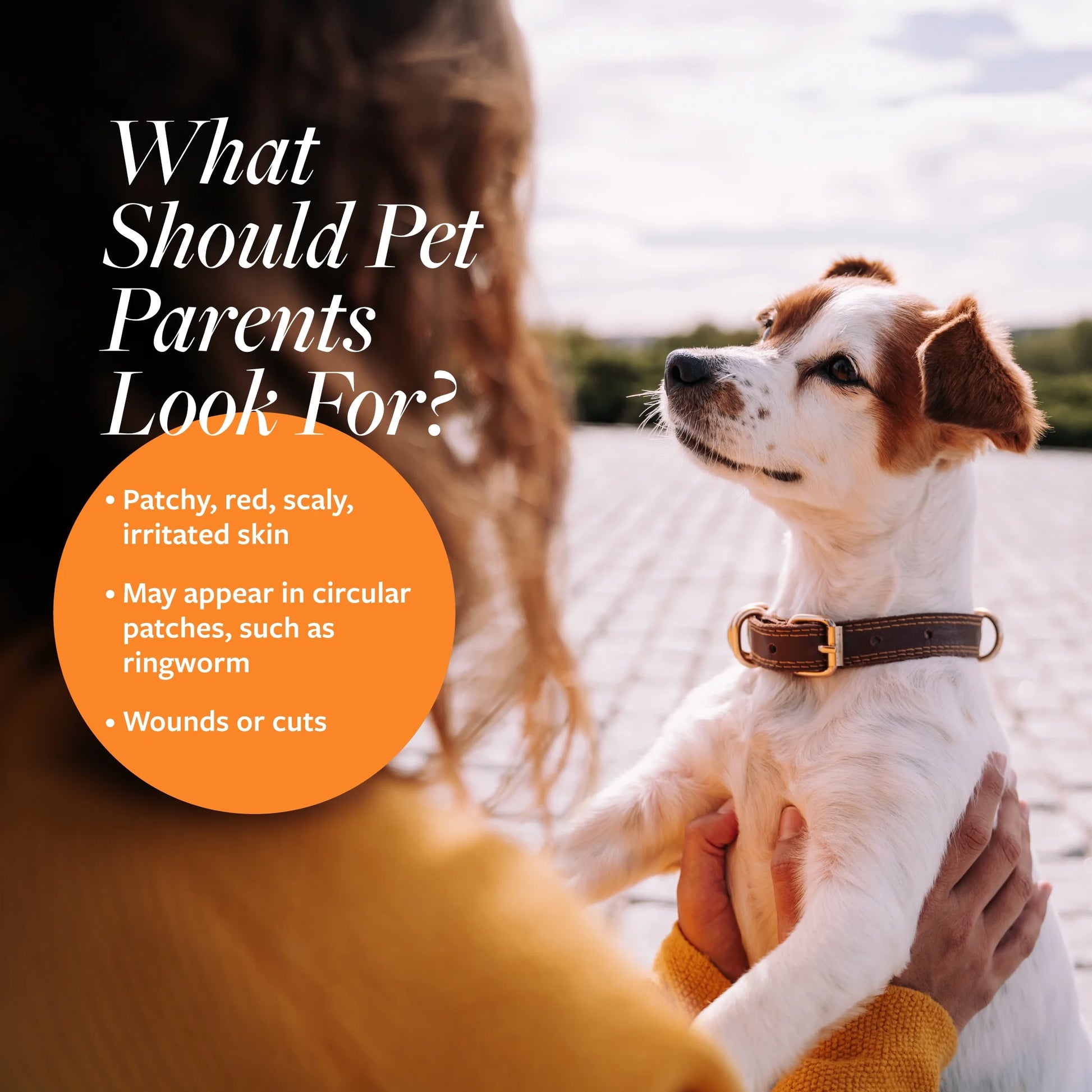 What should pet parents look for? Signs of skin issues in pets like patches and wounds. Antiseptic antifungal spray for pets