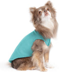Comfortable Dog Fleece Jacket for Winter on a small dog looking up, perfect for keeping pets warm.