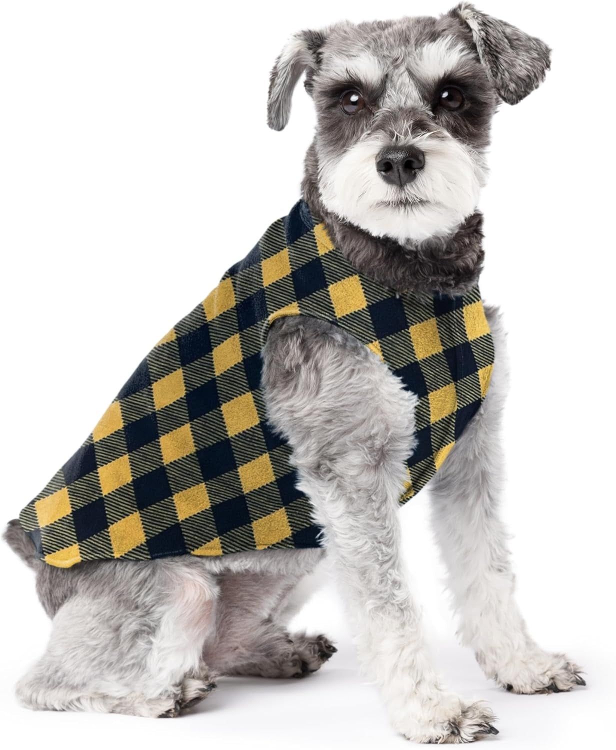 Comfortable Dog Fleece Jacket for Winter | Dog in plaid fleece jacket, perfect for cold weather walks and outdoor activities.