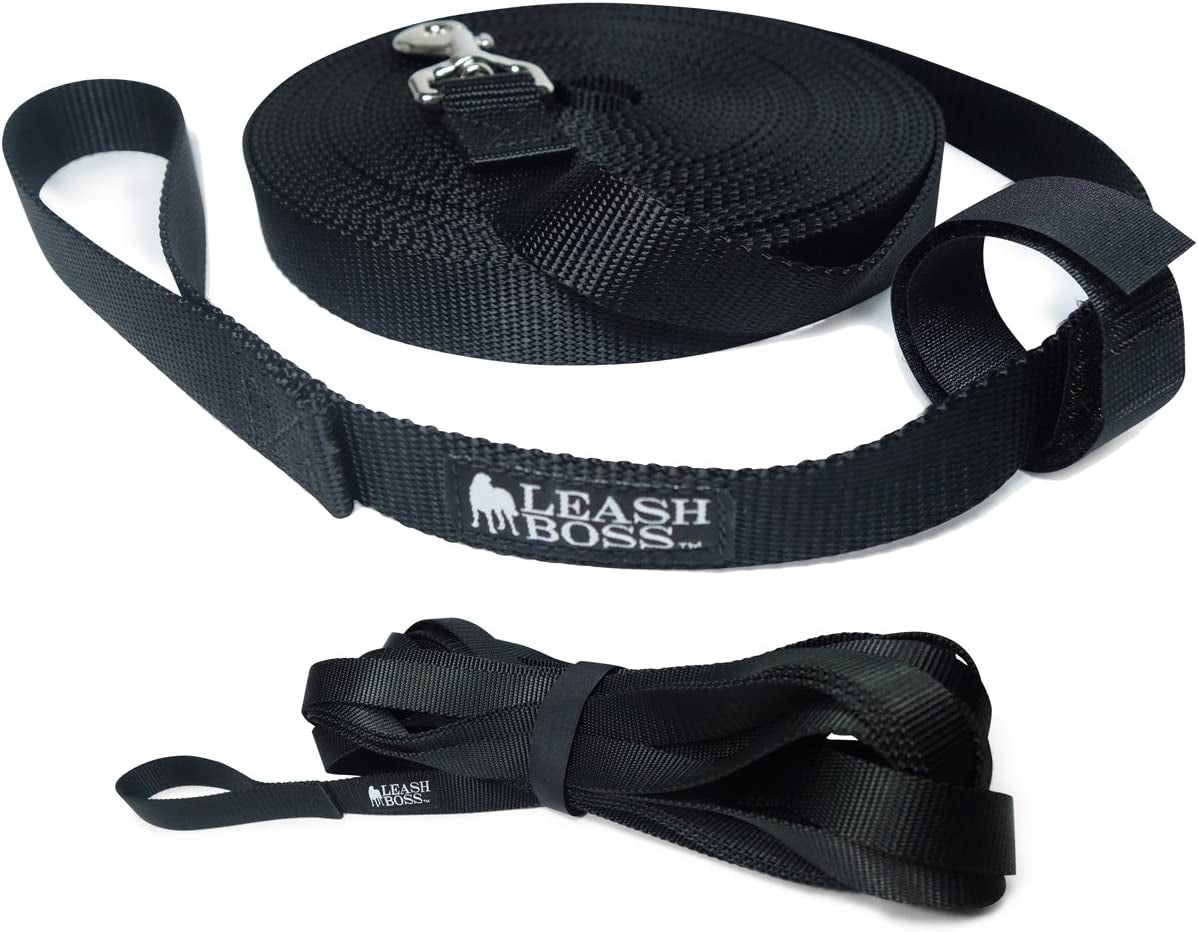 long dog leash for large dogs.