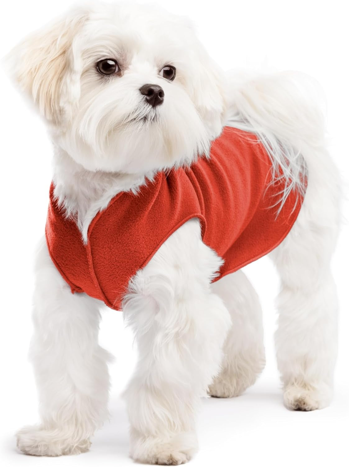 Comfortable Dog Fleece Jacket for Winter on a small white dog, showcasing warmth and style for cold weather.