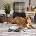 Ceramic Pet Bowl Set for Food and Water with a dog lounging nearby in a cozy home environment.