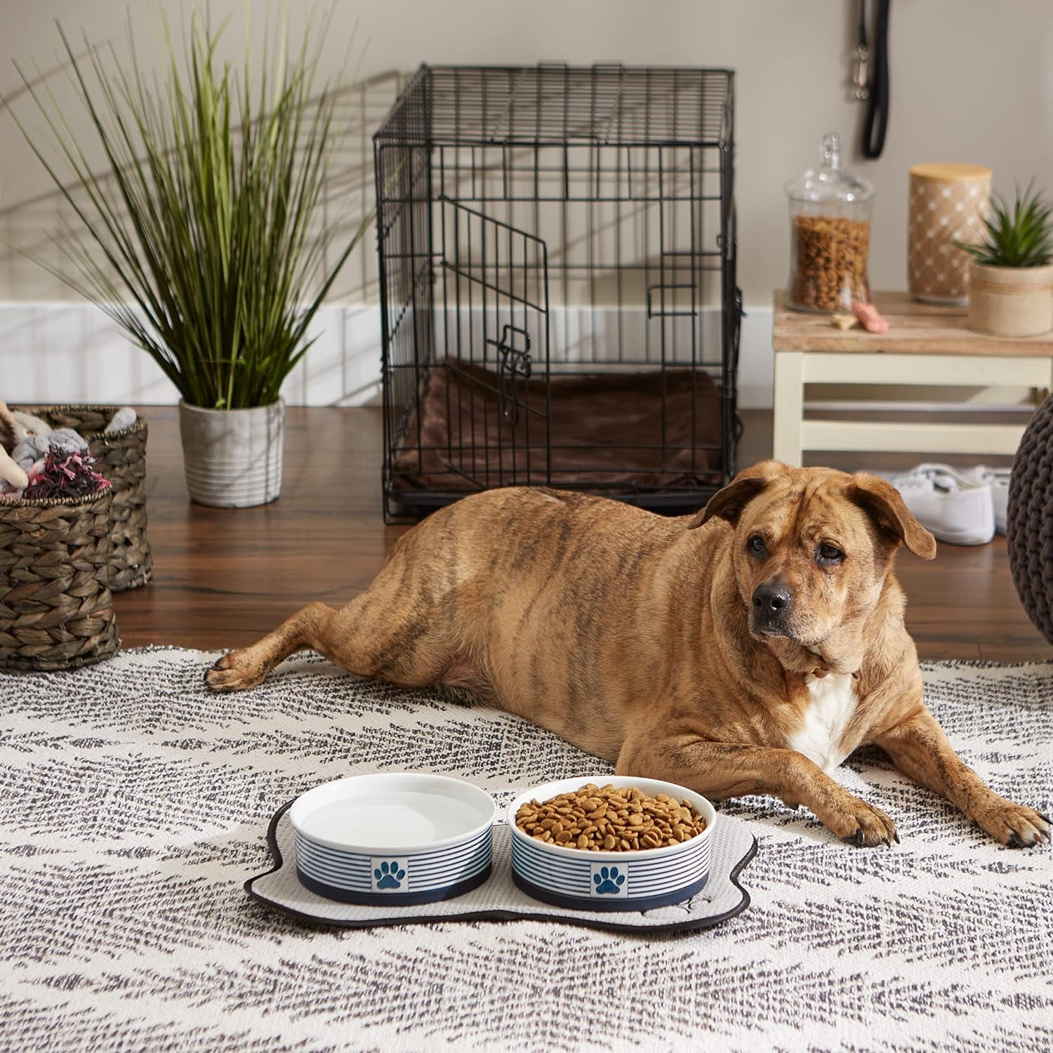 Ceramic Pet Bowl Set for Food and Water with a dog lounging nearby in a cozy home environment.