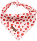 Lionet Paws Dog Bandana for Small Medium Large Dogs, Cat Kerchief Blue DOIT, Triangle Bibs Scarf for Girl or Boy