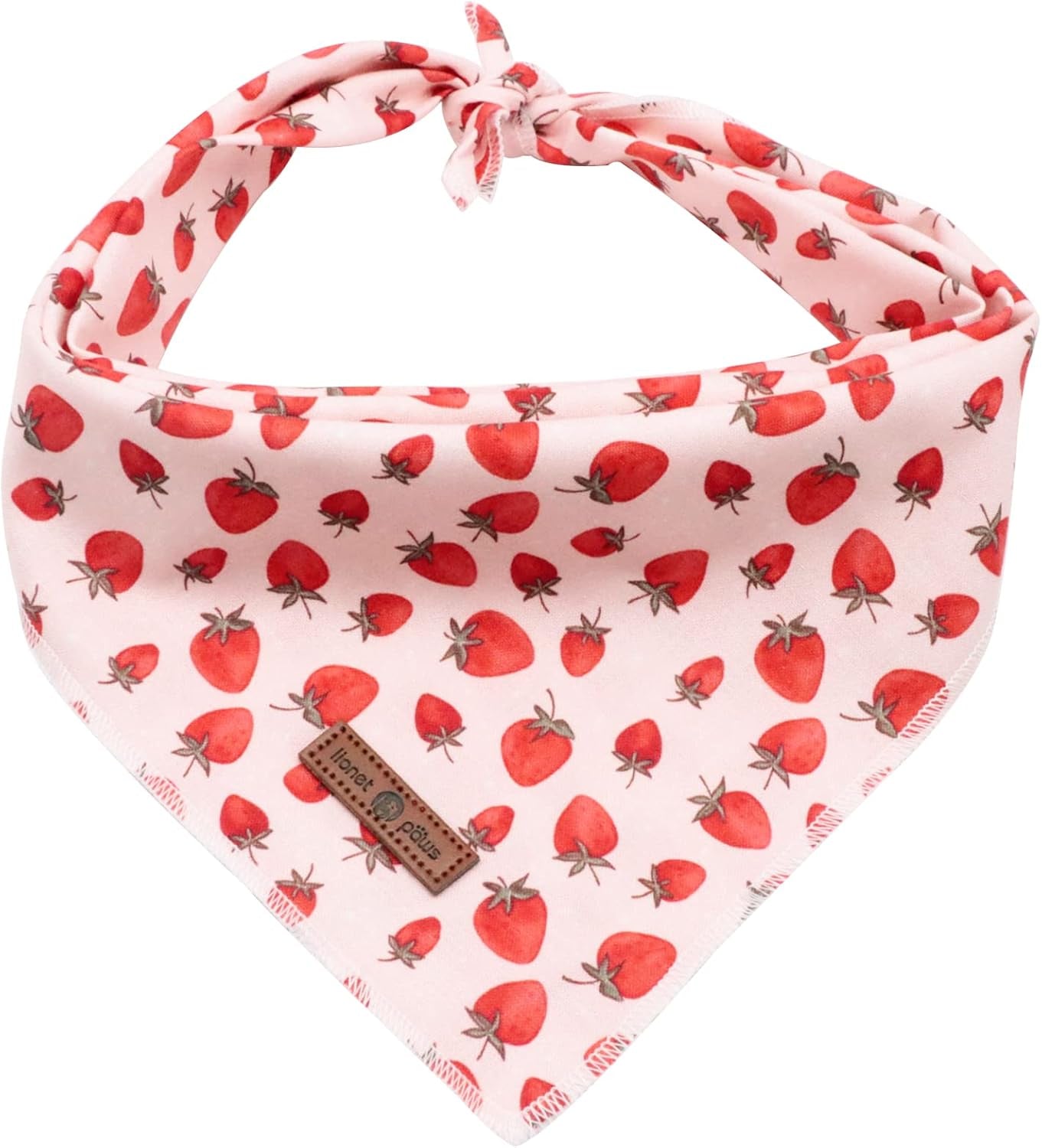 Lionet Paws Dog Bandana for Small Medium Large Dogs, Cat Kerchief Blue DOIT, Triangle Bibs Scarf for Girl or Boy