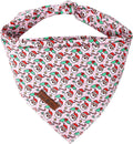 Lionet Paws Dog Bandana for Small Medium Large Dogs, Cat Kerchief Blue DOIT, Triangle Bibs Scarf for Girl or Boy