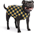 Comfortable Dog Fleece Jacket for Winter on a happy dog wearing a black and yellow checked coat.