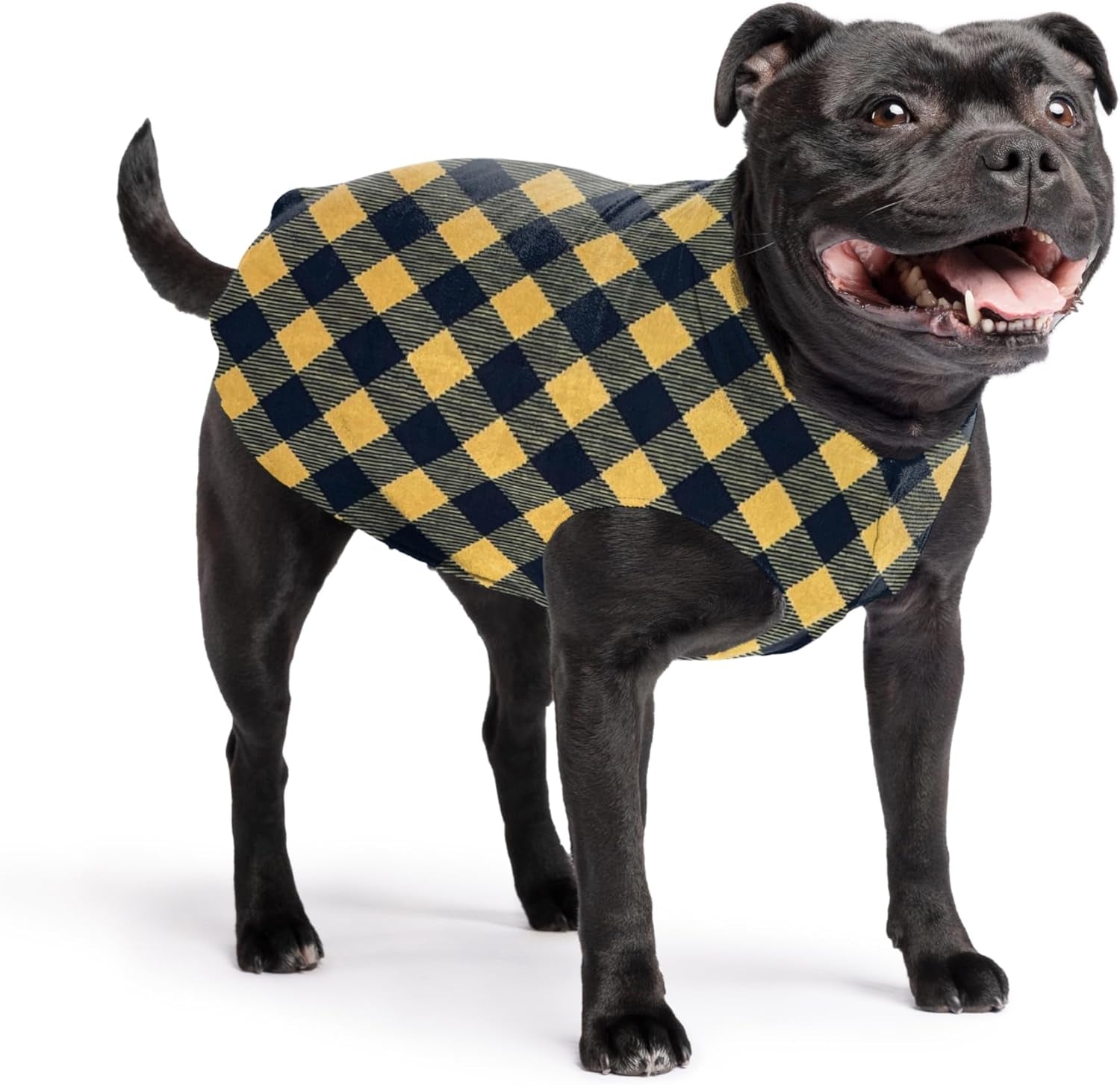 Comfortable Dog Fleece Jacket for Winter on a happy dog wearing a black and yellow checked coat.
