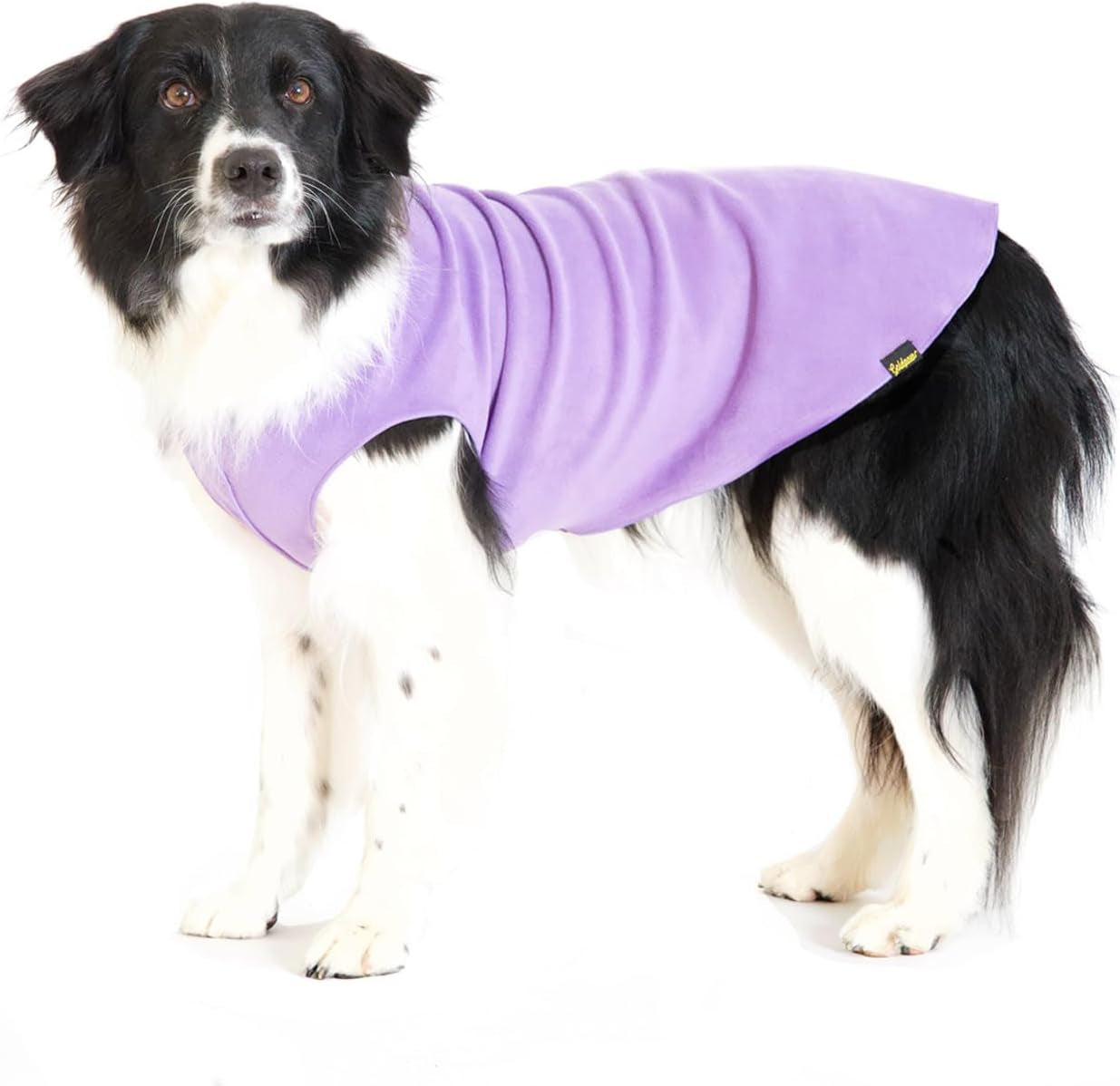 Comfortable Dog Fleece Jacket for Winter on a dog with a purple coat, ideal for cold weather walks.