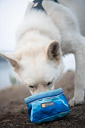White dog sniffing a colorful collapsible dog bowl from Ruffwear near a body of water, ideal for travel.