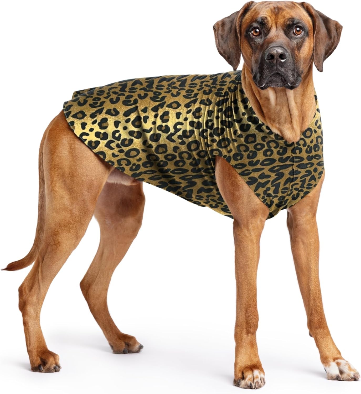 Comfortable Dog Fleece Jacket for Winter on a brown dog wearing a stylish leopard print design.
