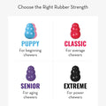 KONG Puppy Teething Dog Toy
