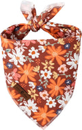 Lionet Paws Dog Bandana for Small Medium Large Dogs, Cat Kerchief Blue DOIT, Triangle Bibs Scarf for Girl or Boy