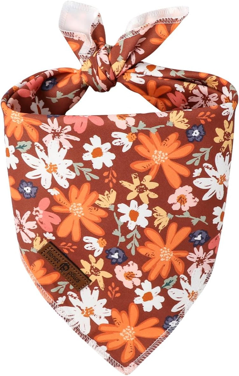 Lionet Paws Dog Bandana for Small Medium Large Dogs, Cat Kerchief Blue DOIT, Triangle Bibs Scarf for Girl or Boy