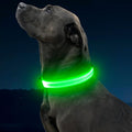 LED dog collar illuminating a dog's neck for nighttime safety and visibility during low-light walks.