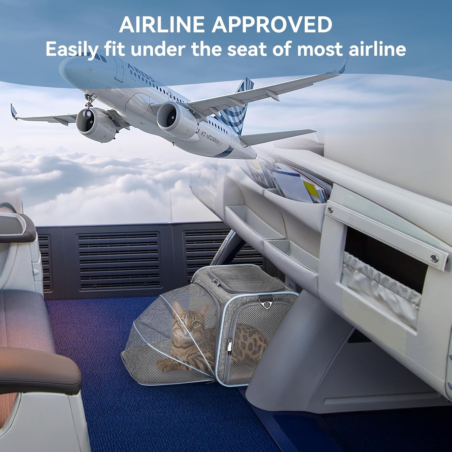 Portable Washable Pet Travel Carrier with Two Extension up to 9LB