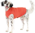 Comfortable Dog Fleece Jacket for Winter in bright orange on a happy dog, perfect for cold weather walks.