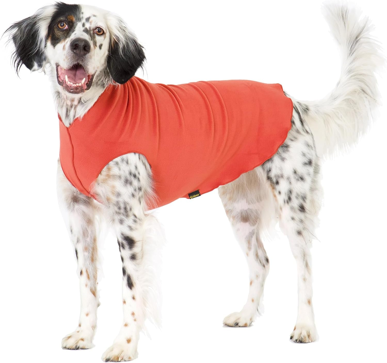 Comfortable Dog Fleece Jacket for Winter in bright orange on a happy dog, perfect for cold weather walks.