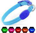 Light Blue XS LED dog collar with adjustable buckle and multiple light modes for night safety and visibility