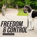 long dog leash for large dogs.