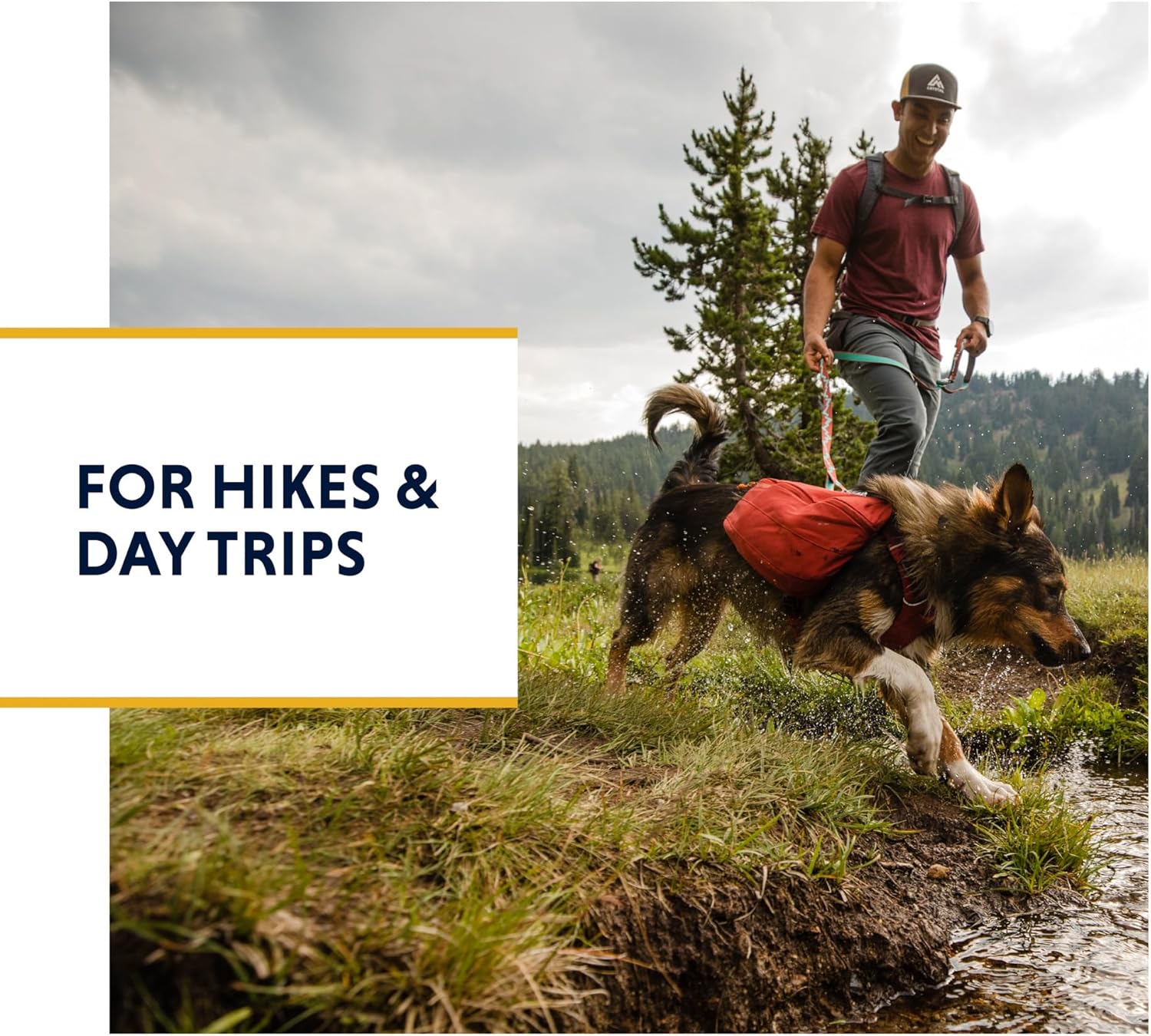 Ruffwear front range dog backpack  